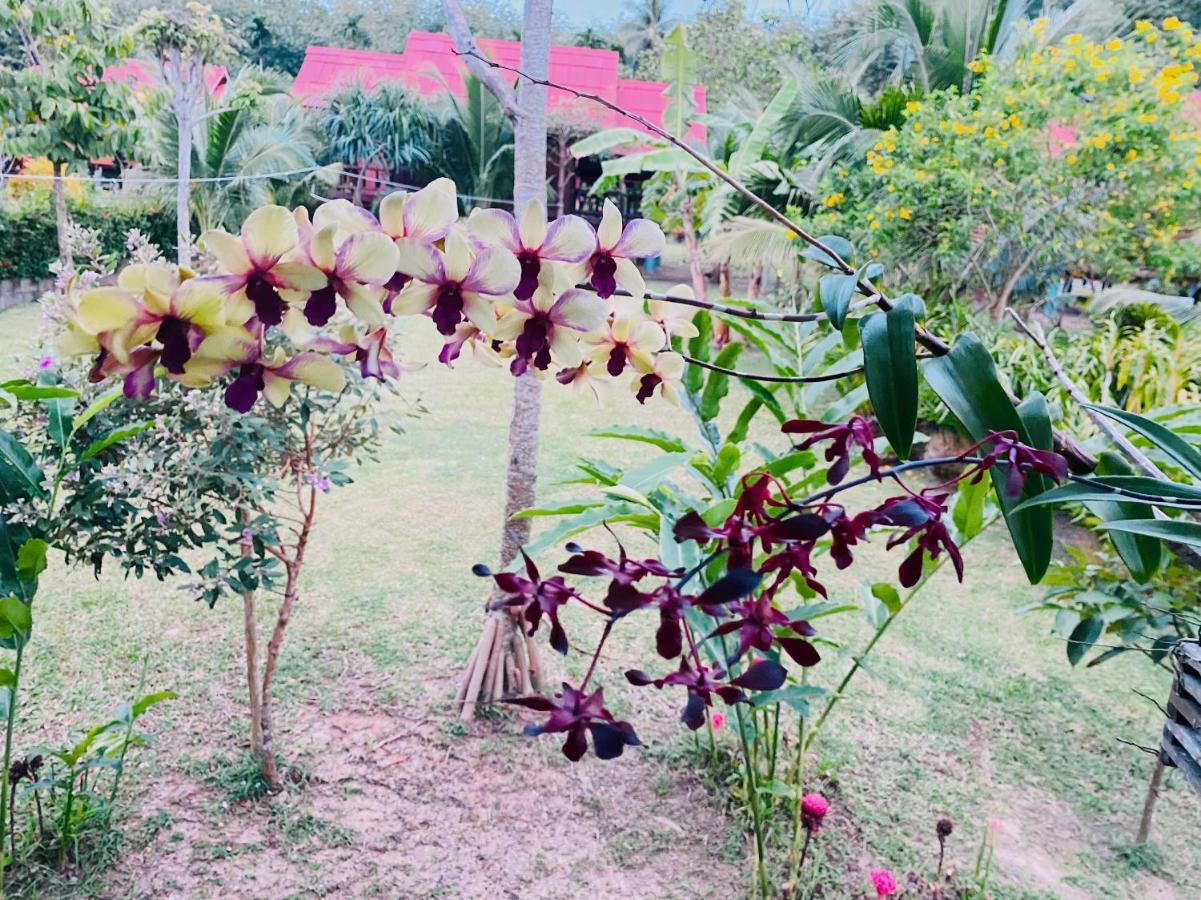 Nadia Resort Kohjum 俊穆岛 外观 照片
