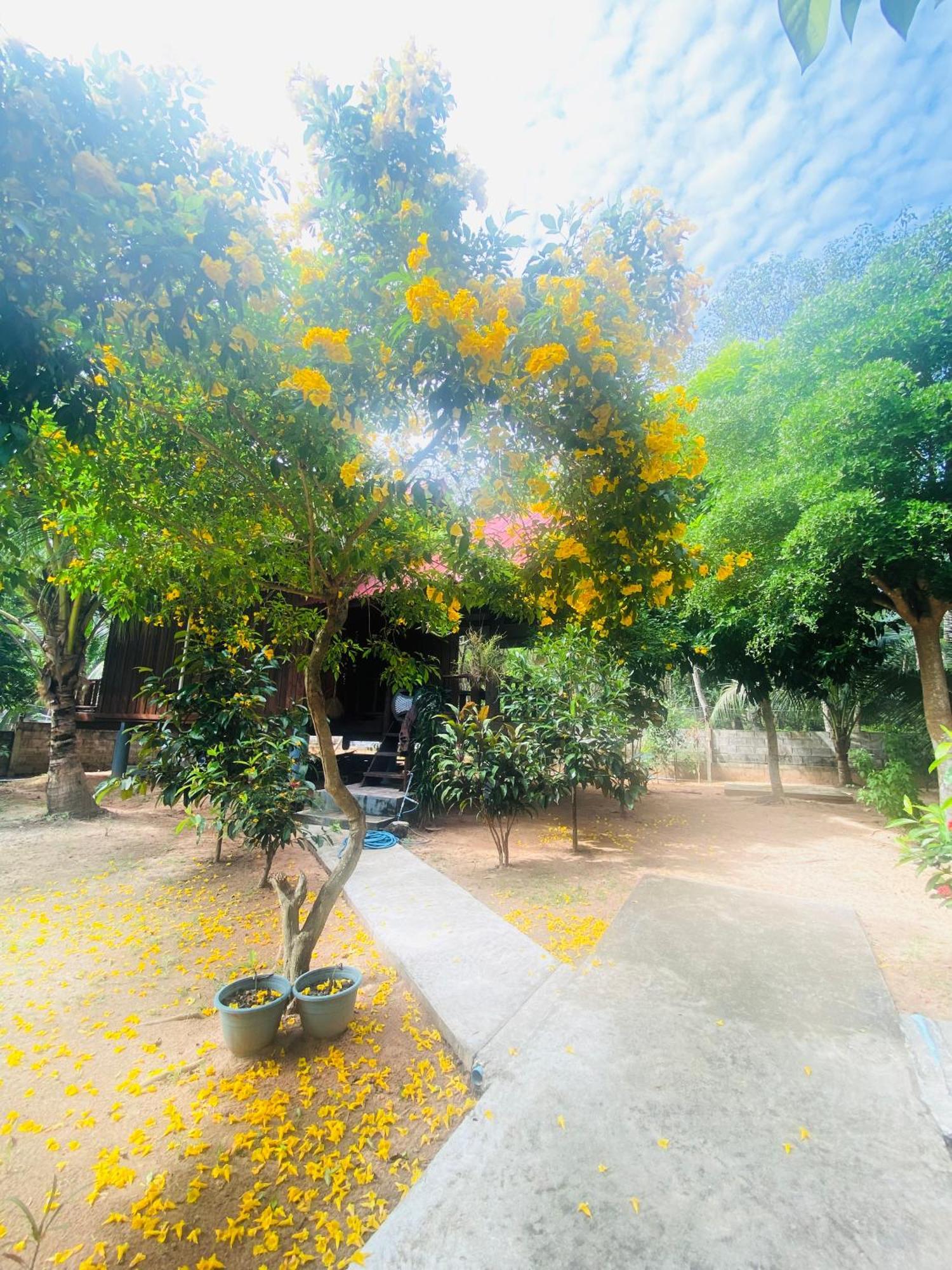 Nadia Resort Kohjum 俊穆岛 外观 照片