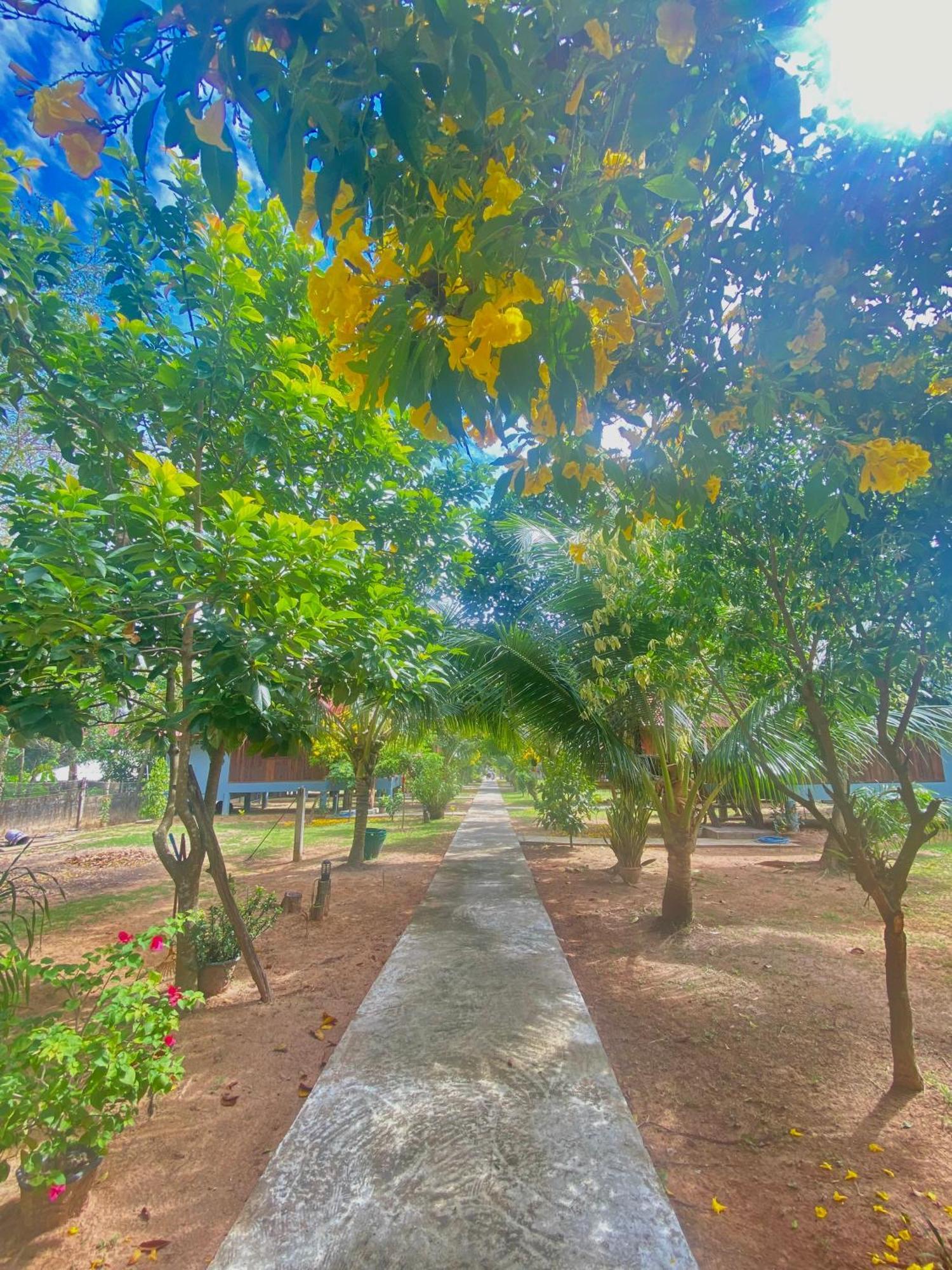 Nadia Resort Kohjum 俊穆岛 外观 照片