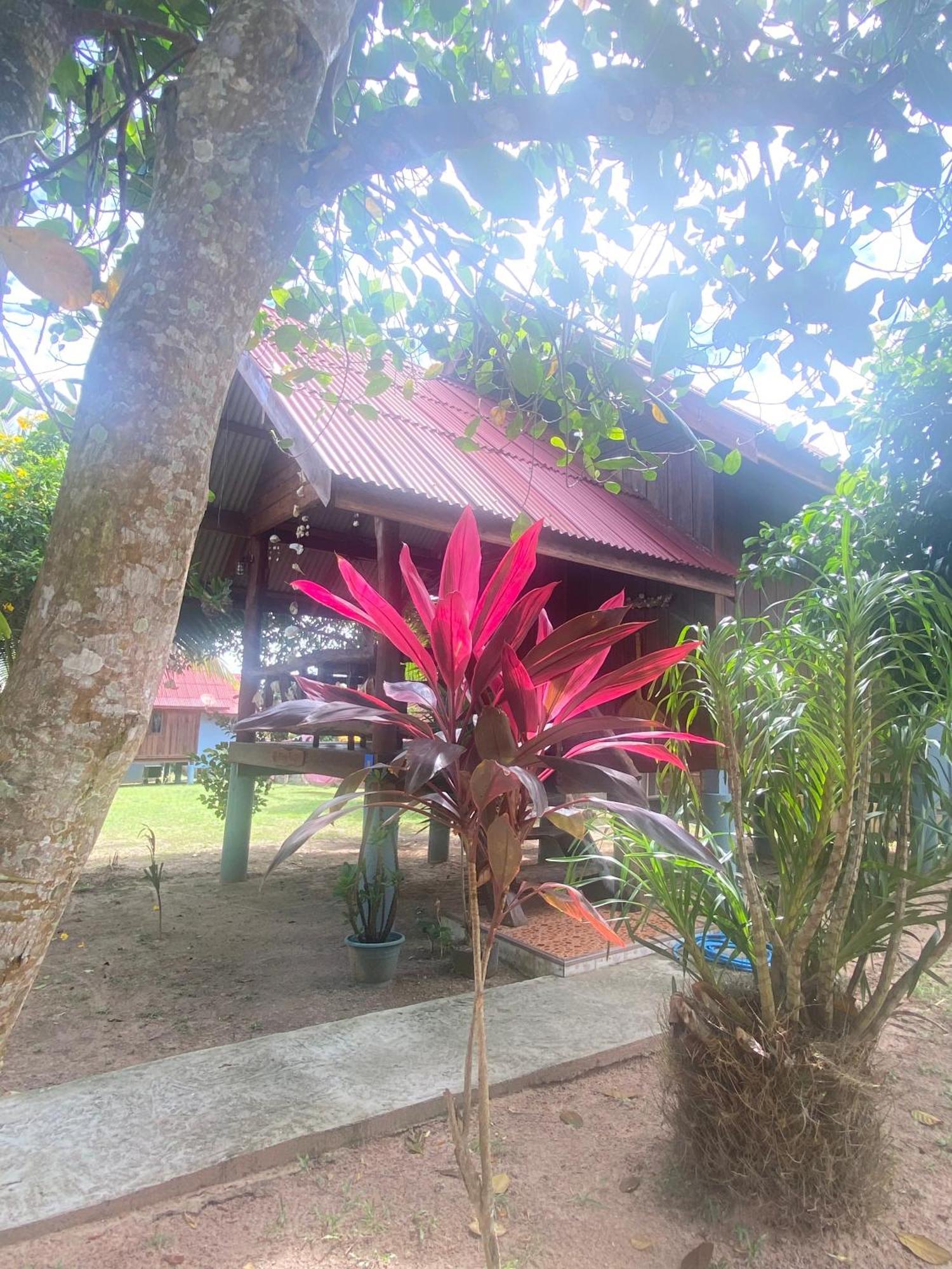 Nadia Resort Kohjum 俊穆岛 外观 照片